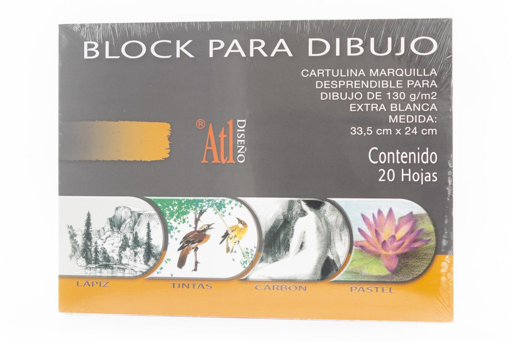 BLOCK P/DIBUJO 33.5 X 24 C/20 HJS CHICO