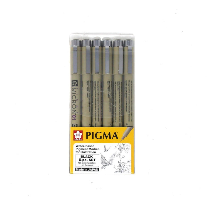 SET PIGMA C/6
