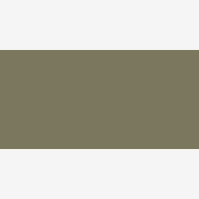 DERWENT - LÁPICES DE COLOR  PASTEL PENCIL DARK OLIVE P520